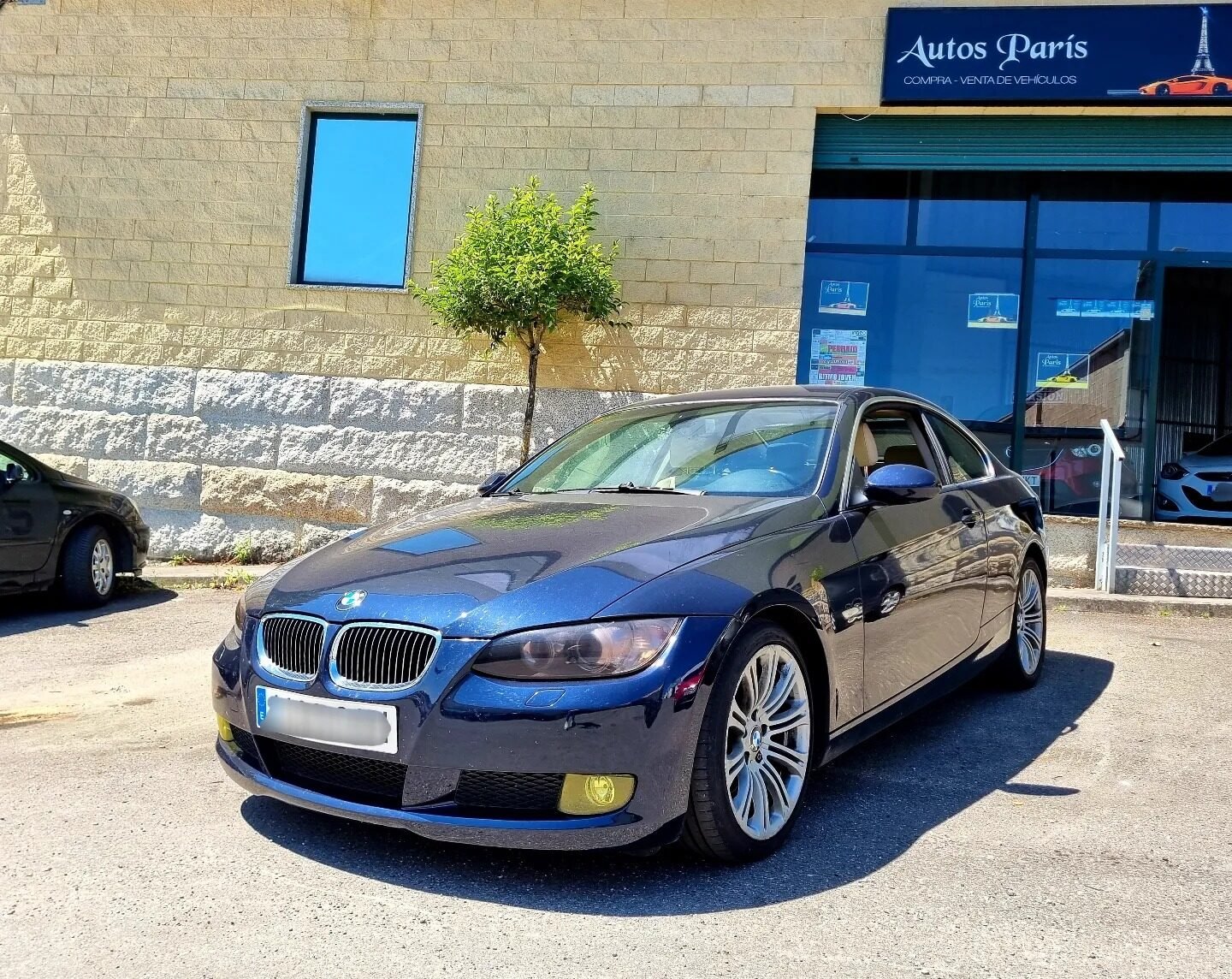 BMW Serie 3 325I