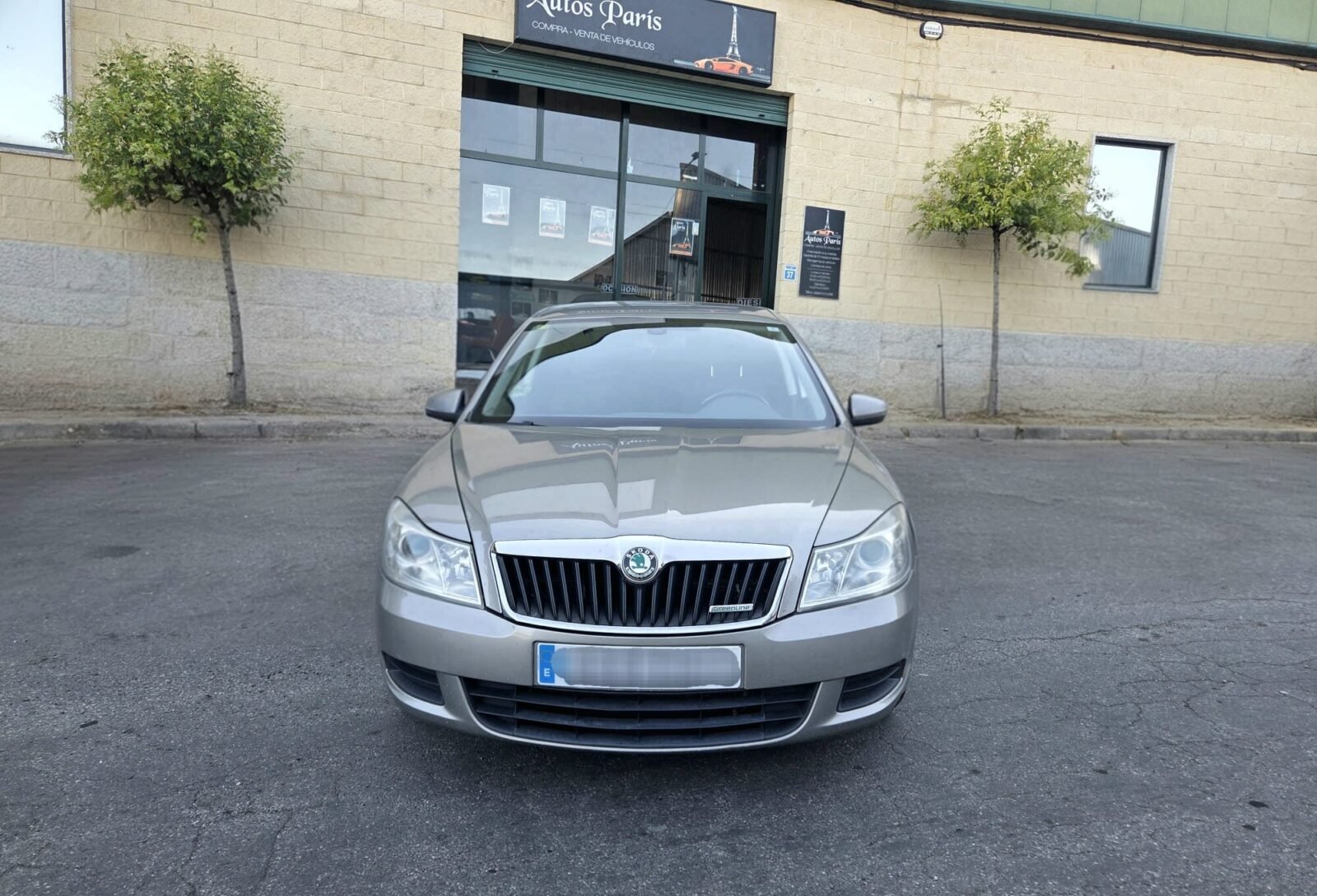 SKODA OCTAVIA 1.6TDI